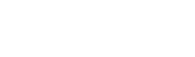 Diatom - aviation simplified